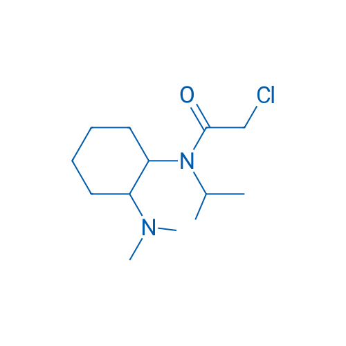 2-Chloro-N-(2-(dimethylamino)cyclohexyl)-N-isopropylacetamide 1g
