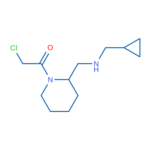 2-Chloro-1-(2-(((cyclopropylmethyl)amino)methyl)piperidin-1-yl)ethanone 1g