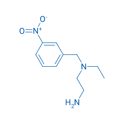 N1-Ethyl-N1-(3-nitrobenzyl)ethane-1,2-diamine 1g