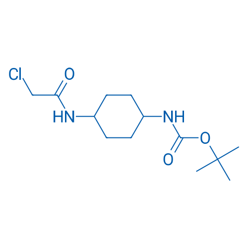 tert-Butyl (4-(2-chloroacetamido)cyclohexyl)carbamate 1g