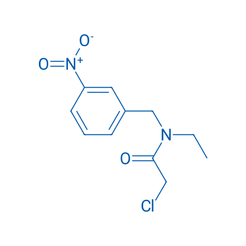 2-Chloro-N-ethyl-N-(3-nitrobenzyl)acetamide 1g