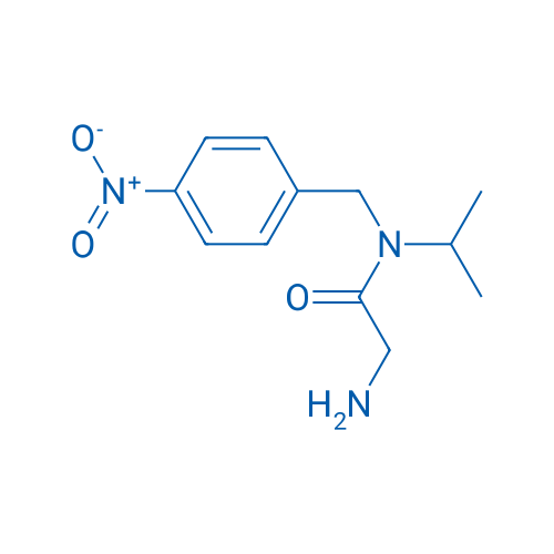 2-Amino-N-isopropyl-N-(4-nitrobenzyl)acetamide 1g