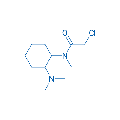 2-Chloro-N-(2-(dimethylamino)cyclohexyl)-N-methylacetamide 1g