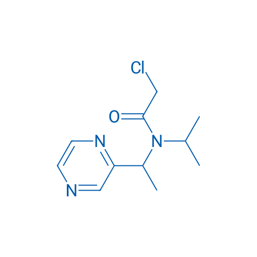2-Chloro-N-isopropyl-N-(1-(pyrazin-2-yl)ethyl)acetamide 1g