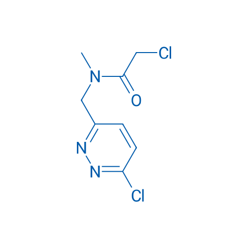 2-Chloro-N-((6-chloropyridazin-3-yl)methyl)-N-methylacetamide 1g