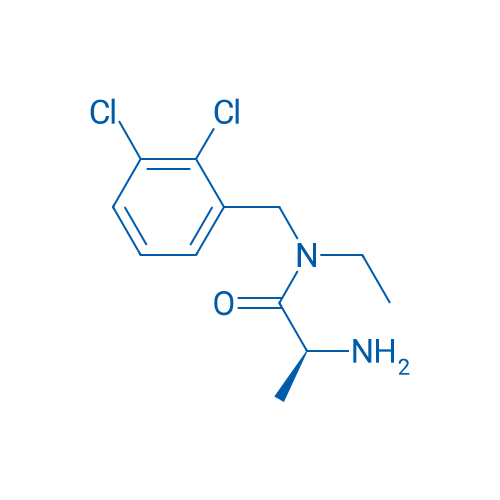 (S)-2-Amino-N-(2,3-dichlorobenzyl)-N-ethylpropanamide 1g