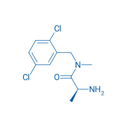(S)-2-Amino-N-(2,5-dichlorobenzyl)-N-methylpropanamide 1g