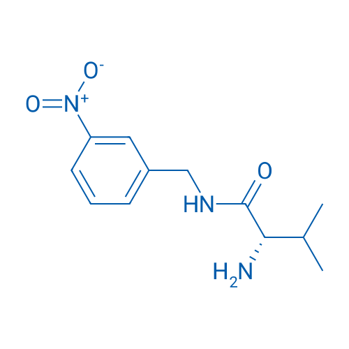 (S)-2-Amino-3-methyl-N-(3-nitrobenzyl)butanamide 1g