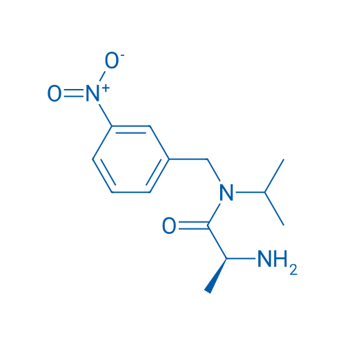 (S)-2-Amino-N-isopropyl-N-(3-nitrobenzyl)propanamide 1g