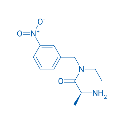 (S)-2-Amino-N-ethyl-N-(3-nitrobenzyl)propanamide 1g