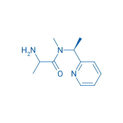 2-Amino-N-methyl-N-((S)-1-(pyridin-2-yl)ethyl)propanamide 1g