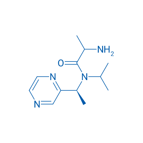 2-Amino-N-isopropyl-N-((S)-1-(pyrazin-2-yl)ethyl)propanamide 1g