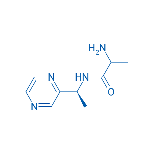 2-Amino-N-((S)-1-(pyrazin-2-yl)ethyl)propanamide 1g