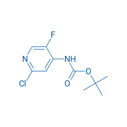 tert-Butyl (2-chloro-5-fluoropyridin-4-yl)carbamate 5g