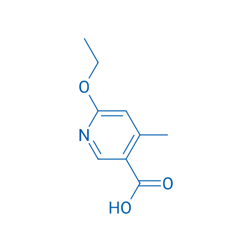 6-Ethoxy-4-methylnicotinic acid 100mg