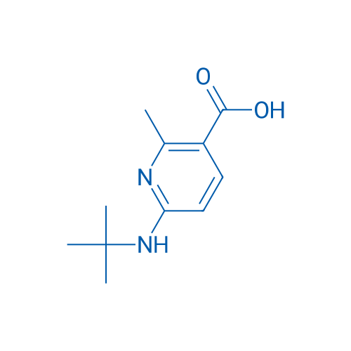 6-(tert-Butylamino)-2-methylnicotinic acid 1g