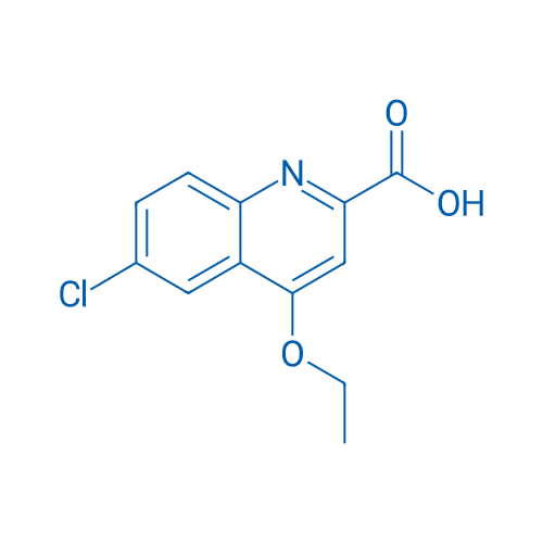 6-Chloro-4-ethoxyquinoline-2-carboxylic acid 1g