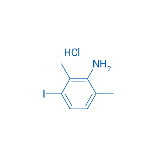 3-Iodo-2,6-dimethylaniline hydrochloride 1g