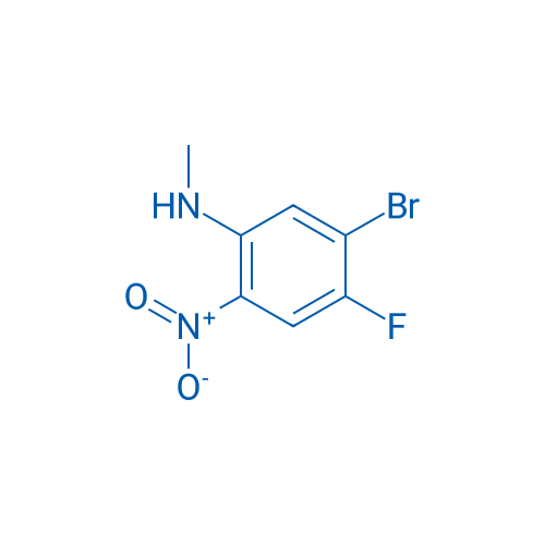 (5-Bromo-4-fluoro-2-nitro-phenyl)-methyl-amine 250mg