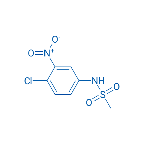 N-(4-chloro-3-nitrophenyl)methanesulfonamide 1g