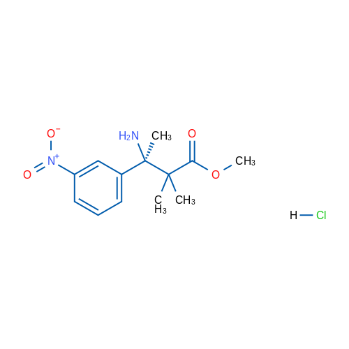 (R)-Methyl 3-amino-2,2-dimethyl-3-(3-nitrophenyl)butanoate hydrochloride 1g
