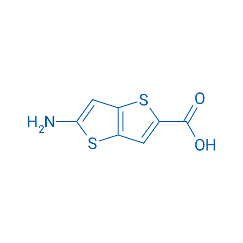 5-Aminothieno[3,2-b]thiophene-2-carboxylic acid 1g