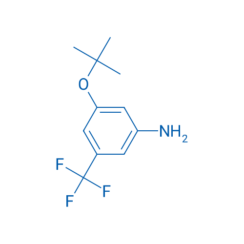 3-(tert-Butoxy)-5-(trifluoromethyl)aniline 1g
