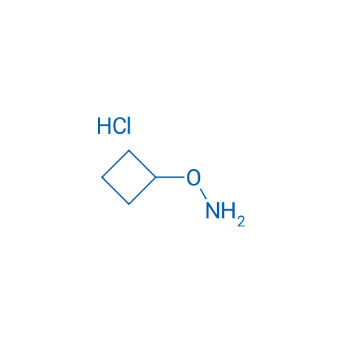 O-Cyclobutylhydroxylamine hydrochloride 100mg