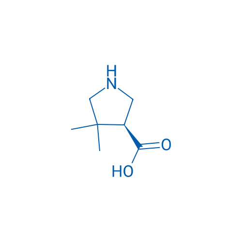(3S)-4,4-Dimethyl-pyrrolidine-3-carboxylic acid 100mg
