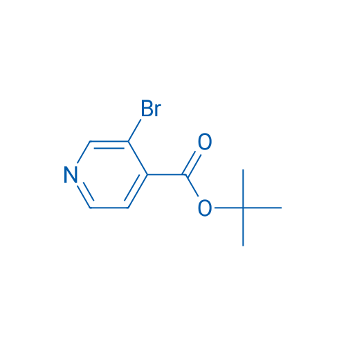 tert-Butyl 3-bromoisonicotinate 100mg
