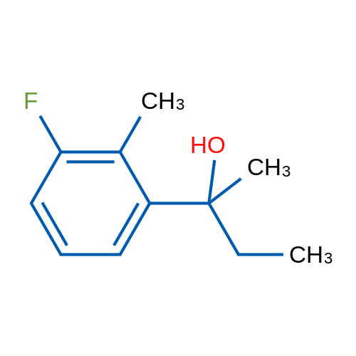 2-(3-Fluoro-2-methylphenyl)butan-2-ol 1g