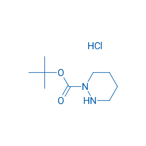 tert-Butyl 1,2-diazinane-1-carboxylate hydrochloride 1g