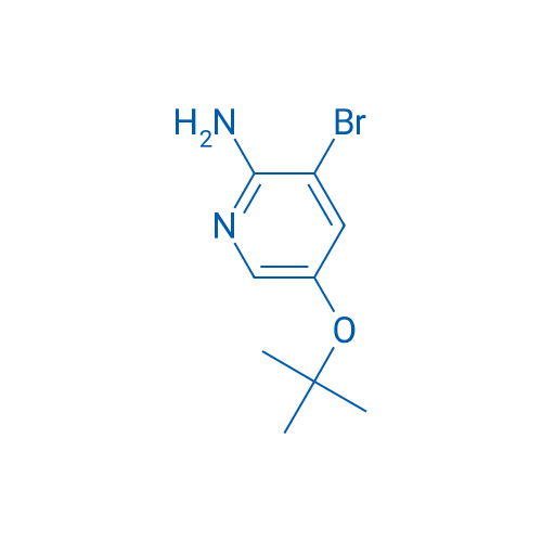 3-Bromo-5-(tert-butoxy)pyridin-2-amine 1g