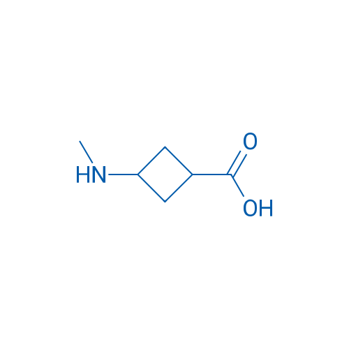 3-(methylamino)cyclobutane-1-carboxylic acid 1g