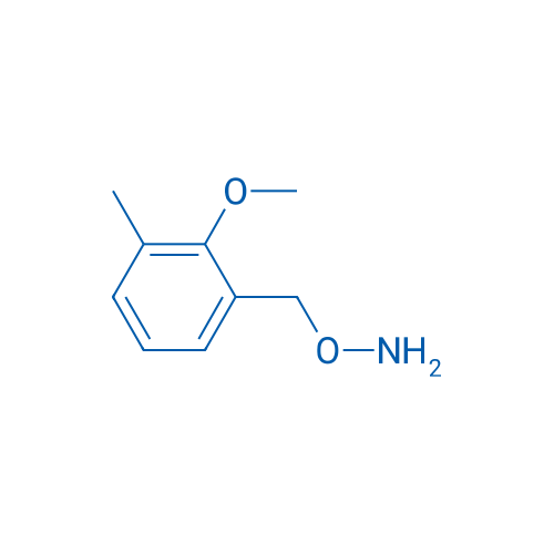 O-(2-Methoxy-3-methylbenzyl)hydroxylamine 1g