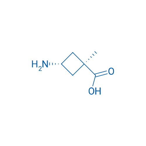 trans-3-amino-1-methylcyclobutane-1-carboxylic acid 250mg