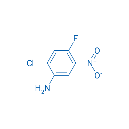 2-Chloro-4-fluoro-5-nitroaniline 1g