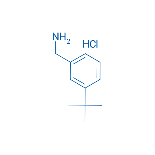 (3-(tert-Butyl)phenyl)methanamine hydrochloride 250mg