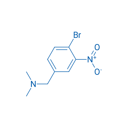 N,N-Dimethyl 4-bromo-3-nitrobenzylamine 1g