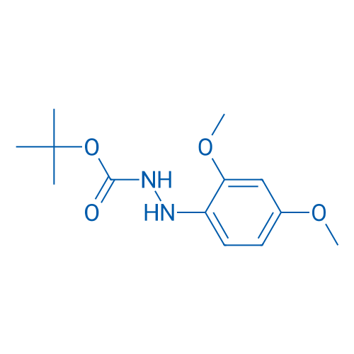 N'-(2,4-Dimethoxy-phenyl)-hydrazinecarboxylic acid tert-butyl ester 1g
