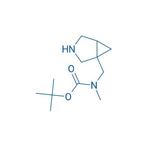 (3-Aza-bicyclo[3.1.0]hex-1-ylmethyl)-methyl-carbamic acid tert-butyl ester 1g
