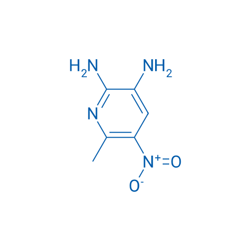 6-Methyl-5-nitropyridine-2,3-diamine 1g