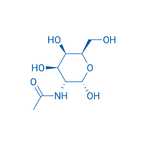 N-Acetyl-D-galactosamine 100mg