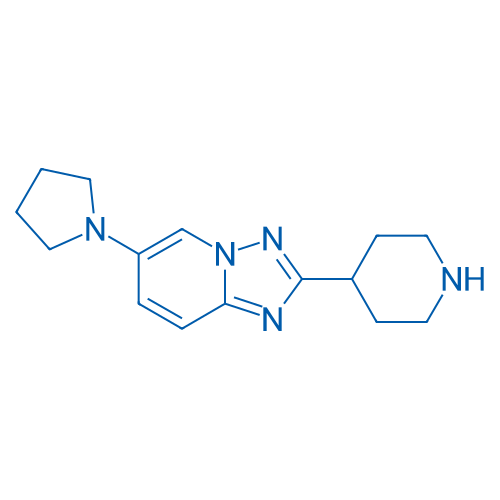2-(Piperidin-4-yl)-6-(pyrrolidin-1-yl)-[1,2,4]triazolo[1,5-a]pyridine 1g