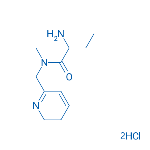 2-Amino-N-methyl-N-(pyridin-2-ylmethyl)butanamide dihydrochloride 1g