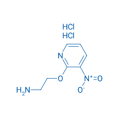 2-(2-Aminoethoxy)-3-nitropyridine dihydrochloride 10g