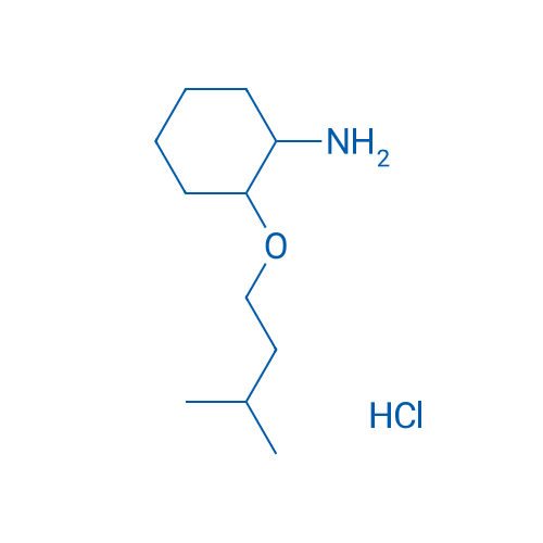 2-(3-Methylbutoxy)cyclohexan-1-amine hydrochloride 1g