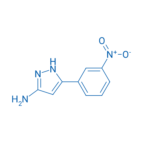 5-(3-Nitrophenyl)-1H-pyrazol-3-amine 1g