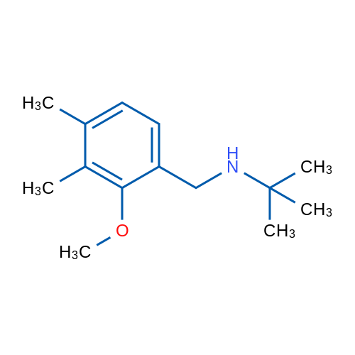 N-(2-Methoxy-3,4-dimethylbenzyl)-2-methylpropan-2-amine 1g