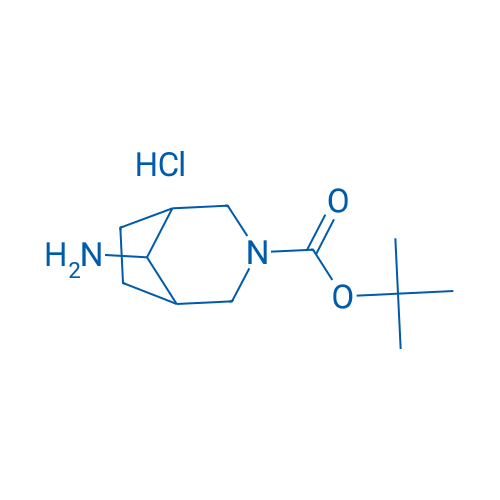 8-Amino-3-aza-bicyclo[3.2.1]octane-3-carboxylic acid tert-butyl ester hydrochloride 1g